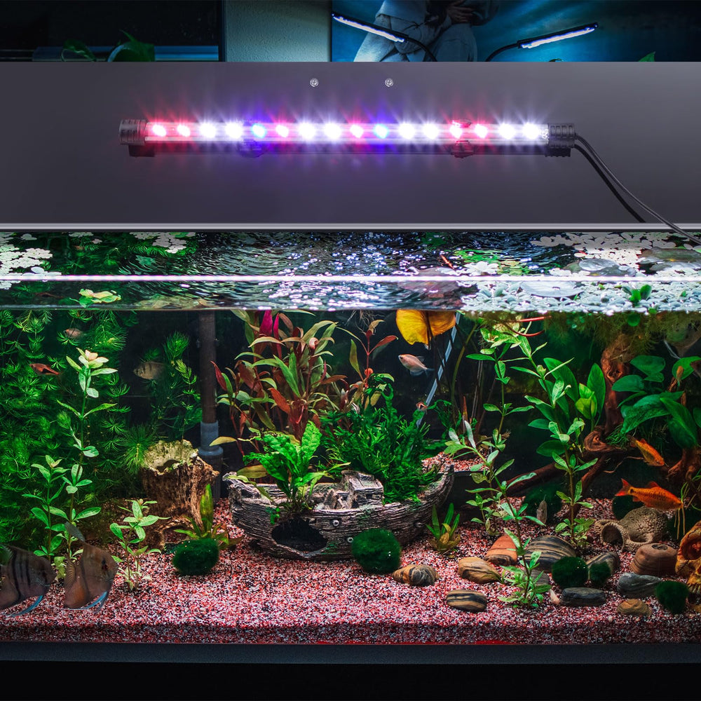 Sieral lid measures 19.37 by 9.37 inches for 10/20 gallon tanks