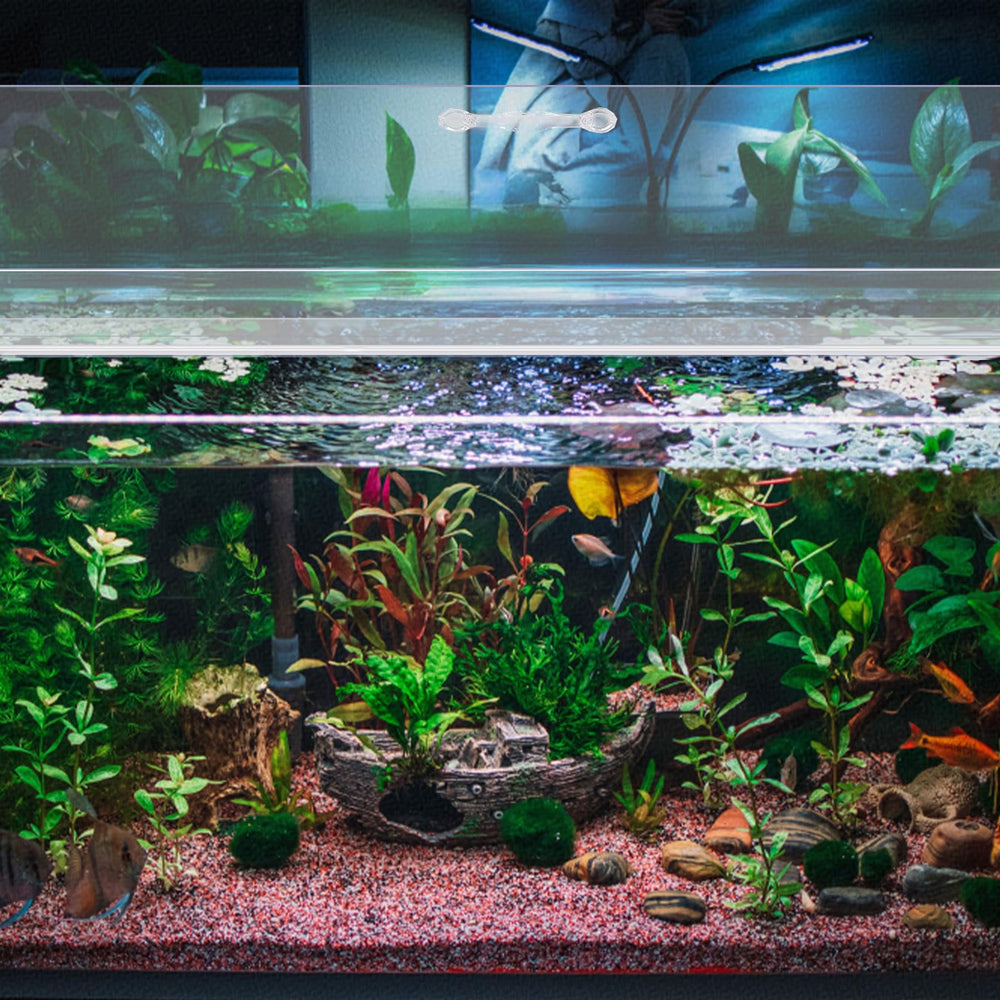 Clear Sieral canopy enables bright, vibrant aquarium viewing