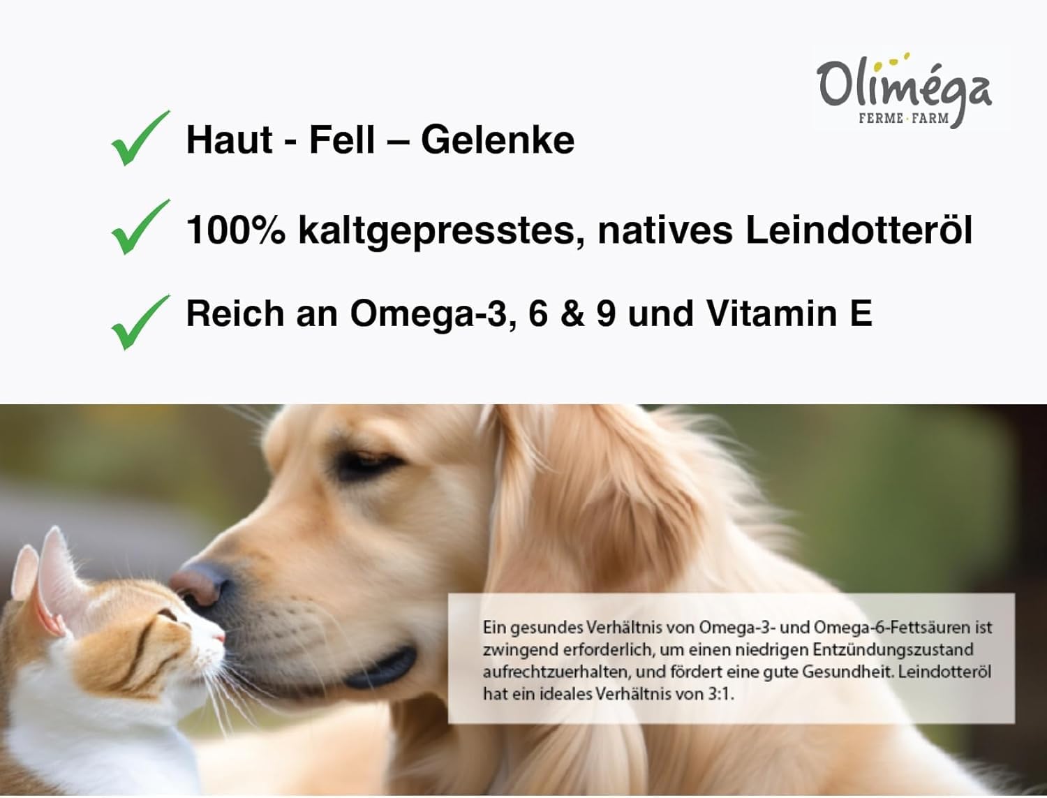 Signe Cameline camelina oil on dog coat highlights shiny fur and healthy skin.