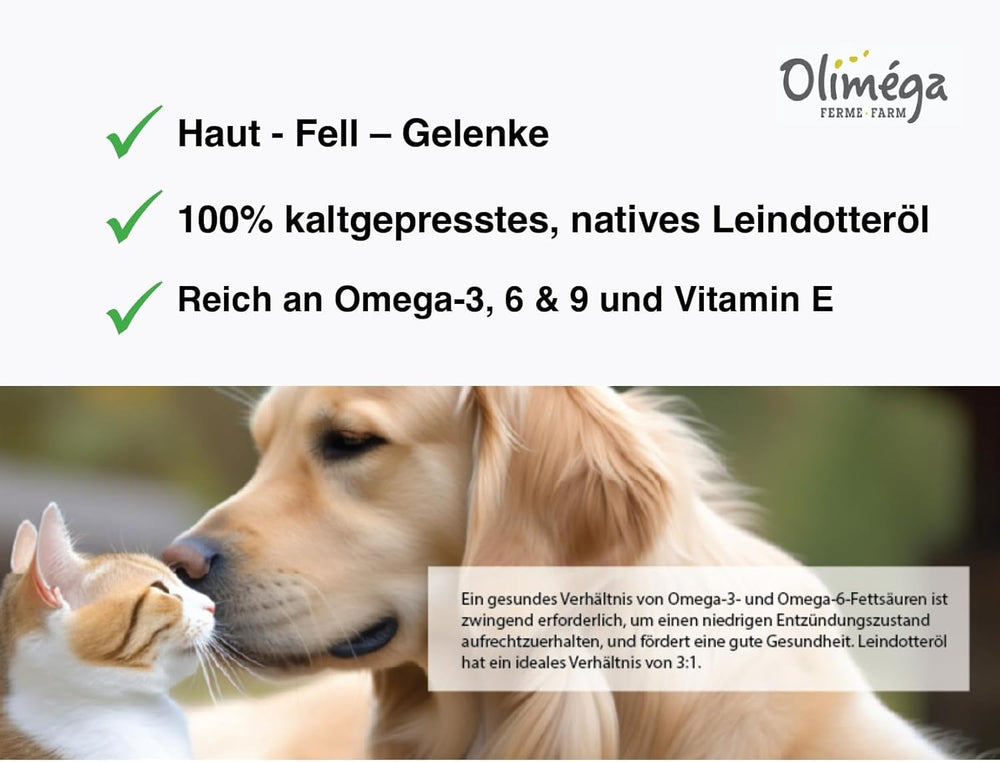 Signe Cameline camelina oil on dog coat highlights shiny fur and healthy skin.