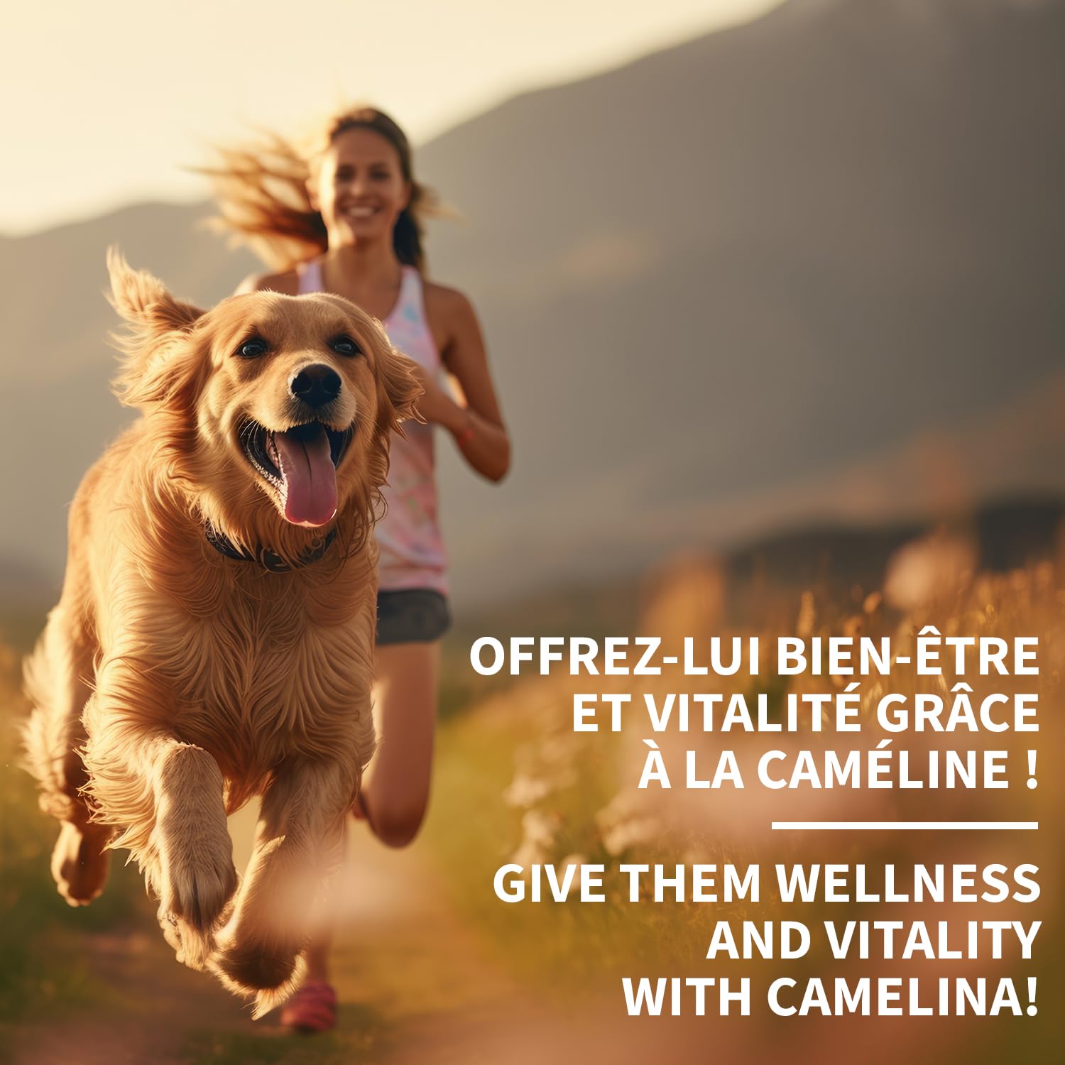 Signe Cameline camelina oil 2:1 omega balance supports inflammatory balance.