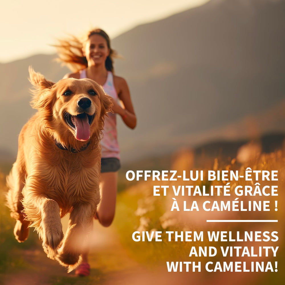 Signe Cameline camelina oil 2:1 omega balance supports inflammatory balance.