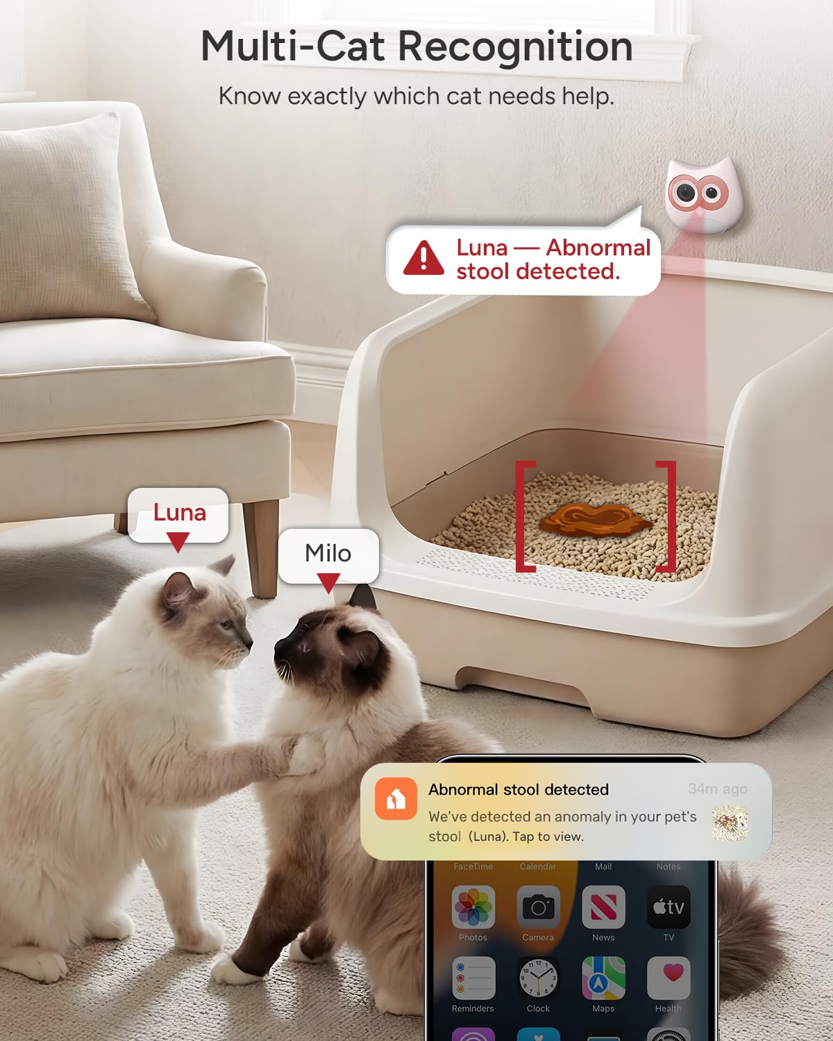 SiiPet LitterLens privacy mode records only when a cat is present.