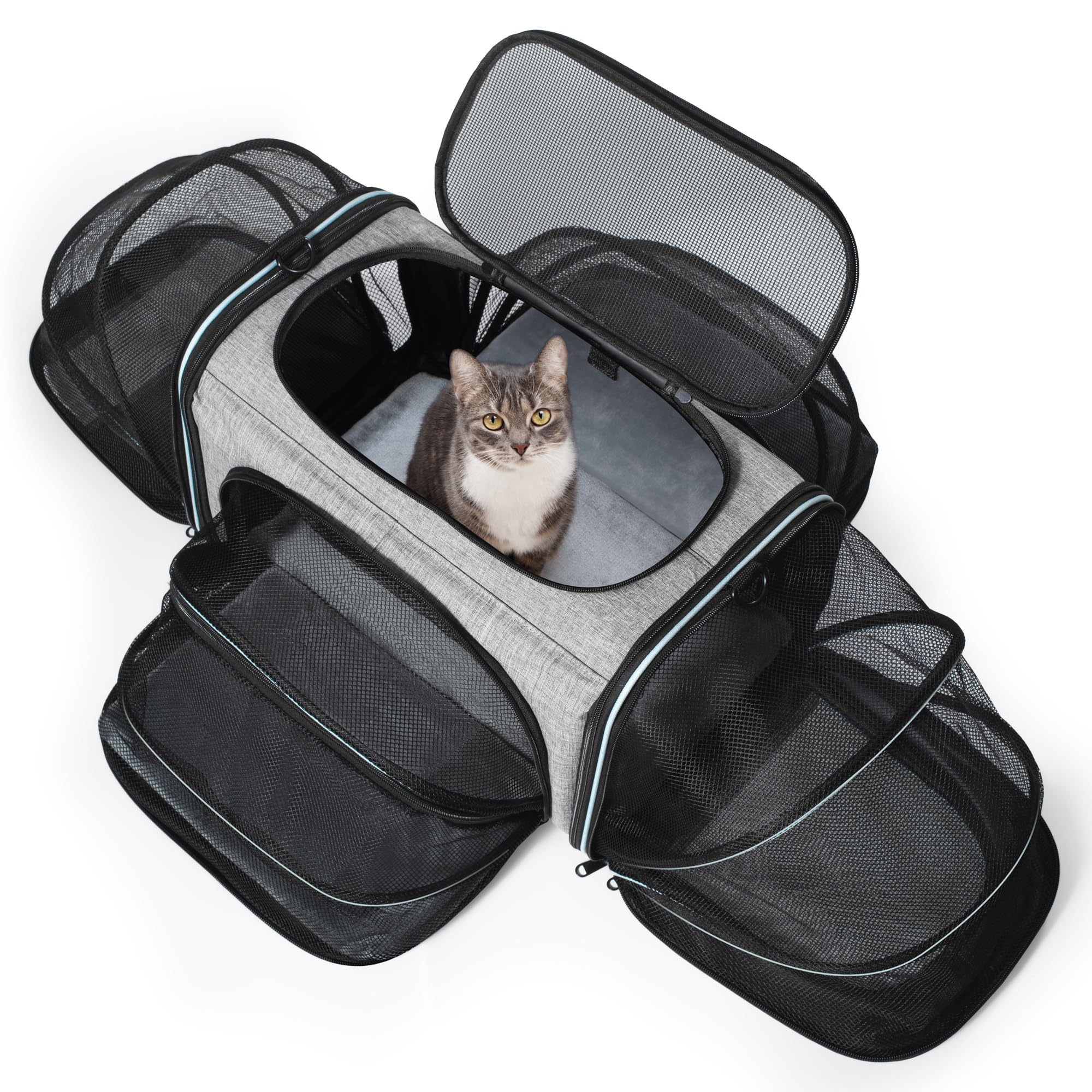 Siivton Cat Carrier expands to four sides for extra room on travel days.