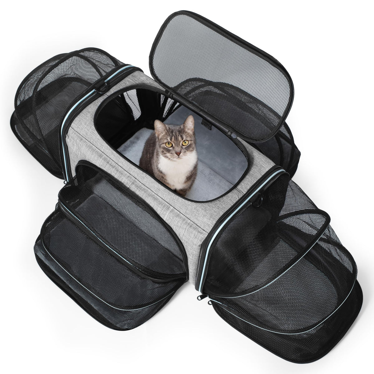 Siivton Cat Carrier expands to four sides for extra room on travel days.
