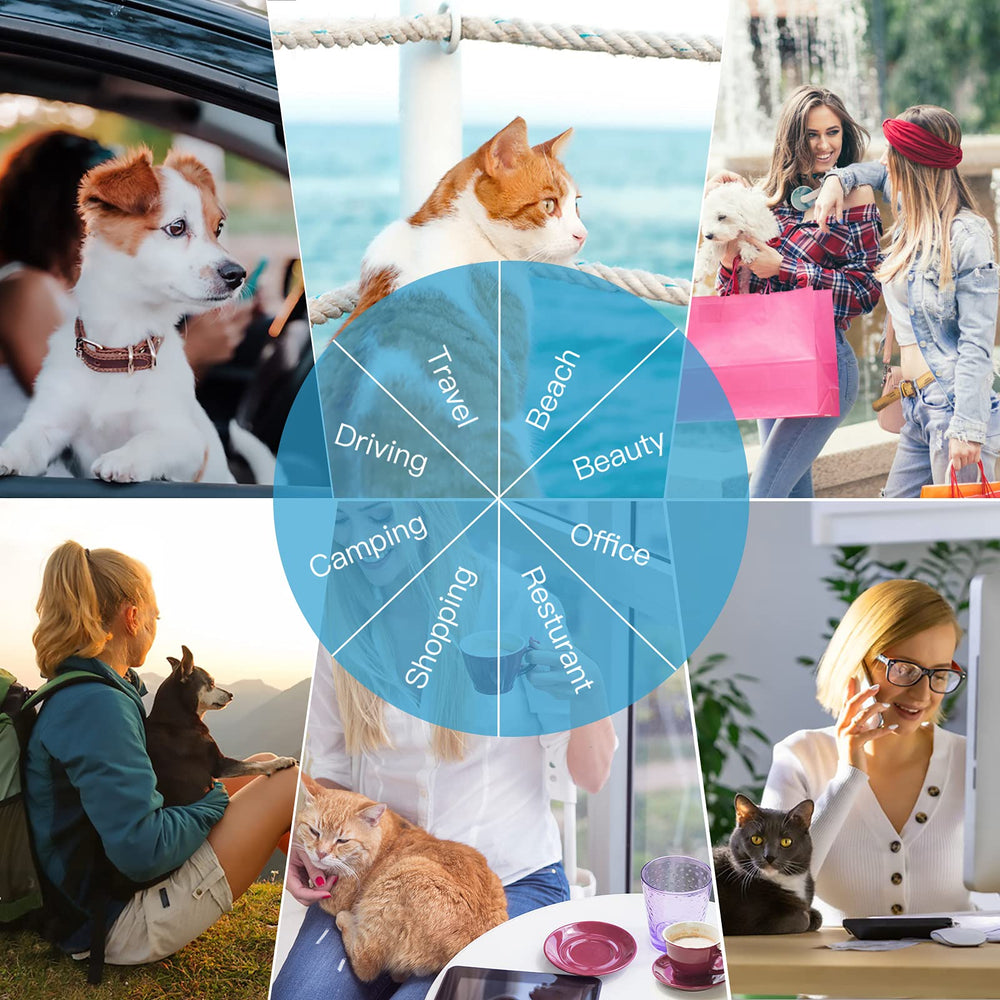 Siivton pet carrier airline approved label for front cabin travel