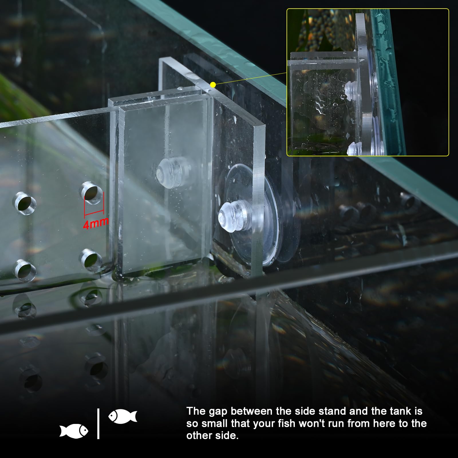 SIKGFPN acrylic fish tank divider in-tank setup preserves clear sightlines for observation.