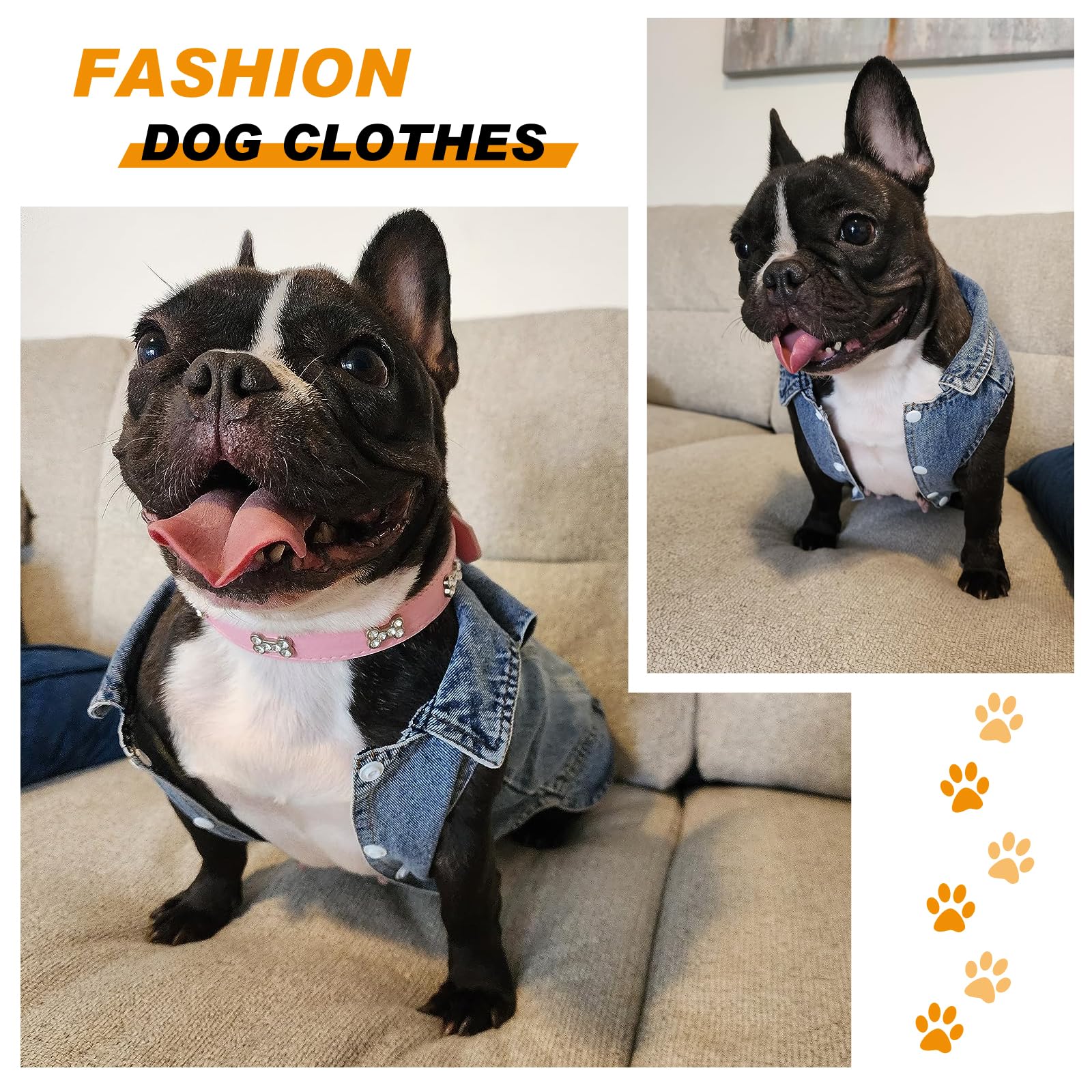 SILD dog coat with button closure for easy wear.