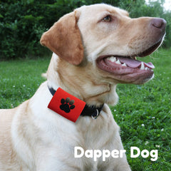 SilenTags Dapper Dog AirTag holder on red strap for secure tracking.