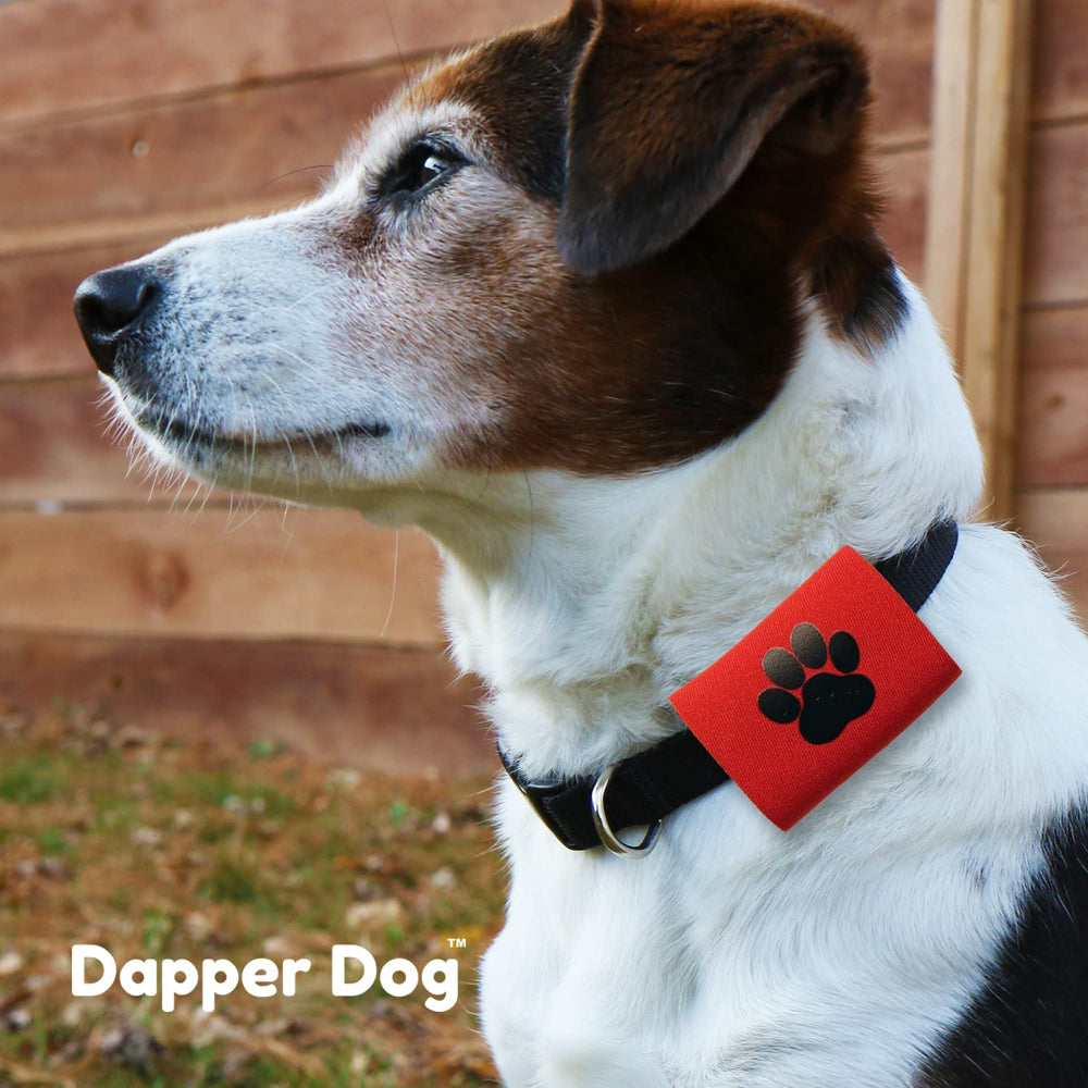 SilenTags Dapper Dog dish-side clank-free design keeps meals calmer.