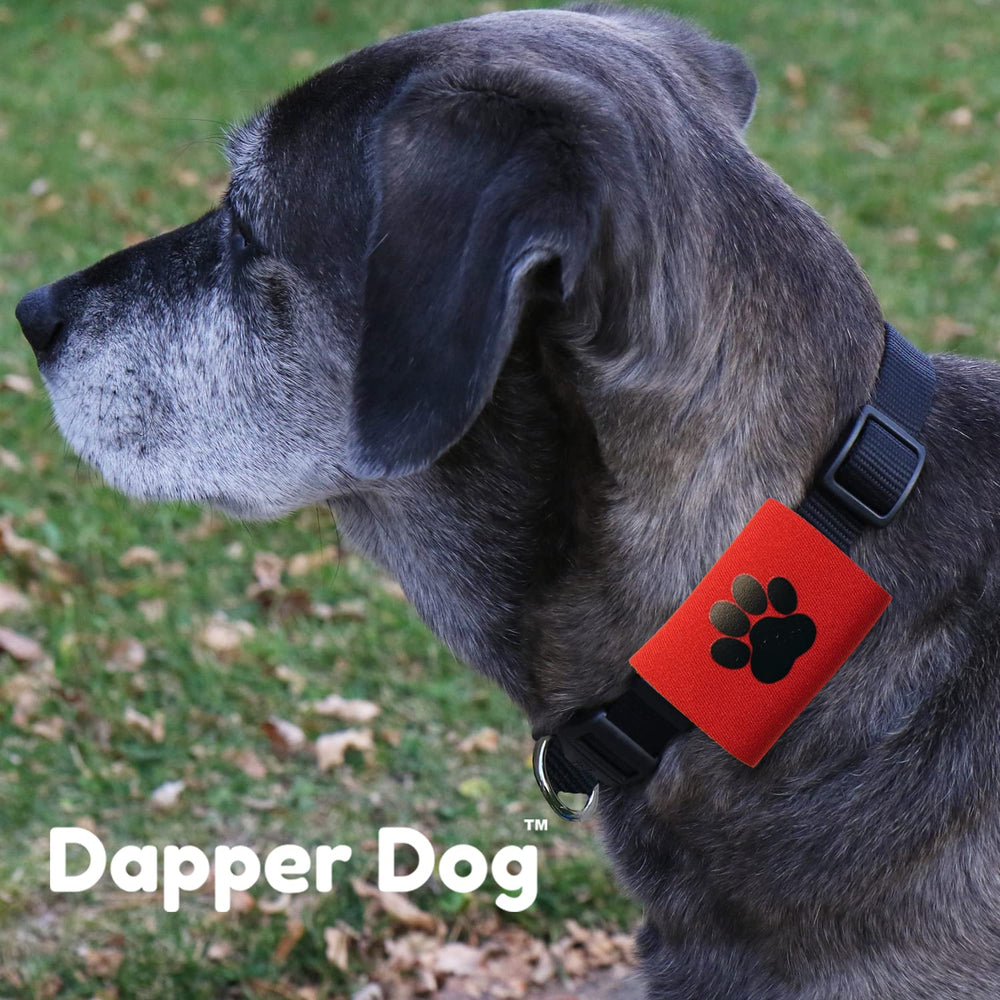 SilenTags Dapper Dog paw-pattern detail highlights soft, durable fabric.