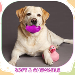 Silipull spiky football pink—textured spikes for gum massage during chewing.