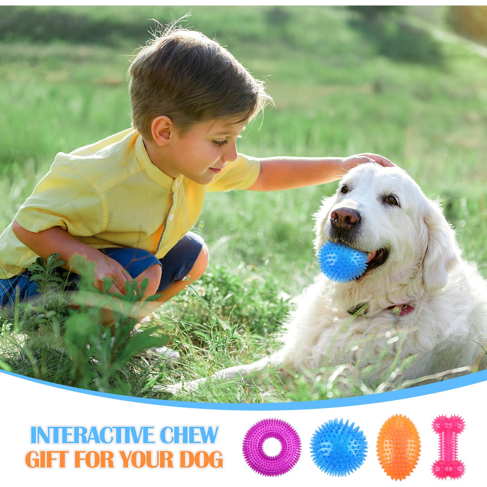 Silipull spiky squeaker ball pack shows four color options for variety.