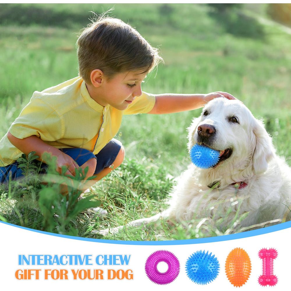 Silipull spiky squeaker ball pack shows four color options for variety.