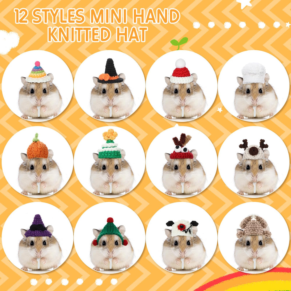 Silkfly colorful birthday hat for cheerful celebrations and selfies