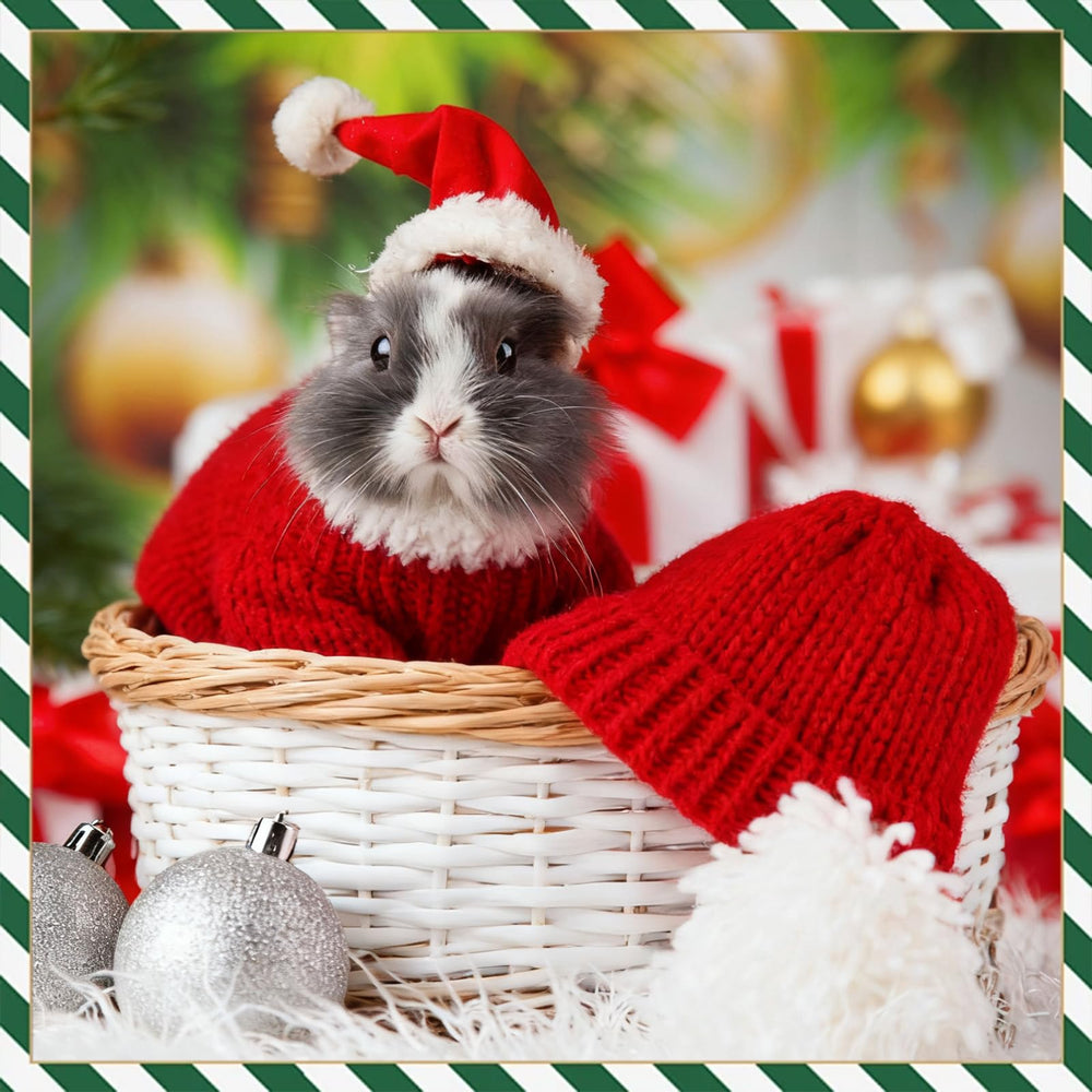SilTriangle adjustable-strap hats secure fit on small animals during outings.