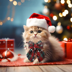 SilTriangle Christmas collar showing adjustable size from 7.5 to 10.5 inches.