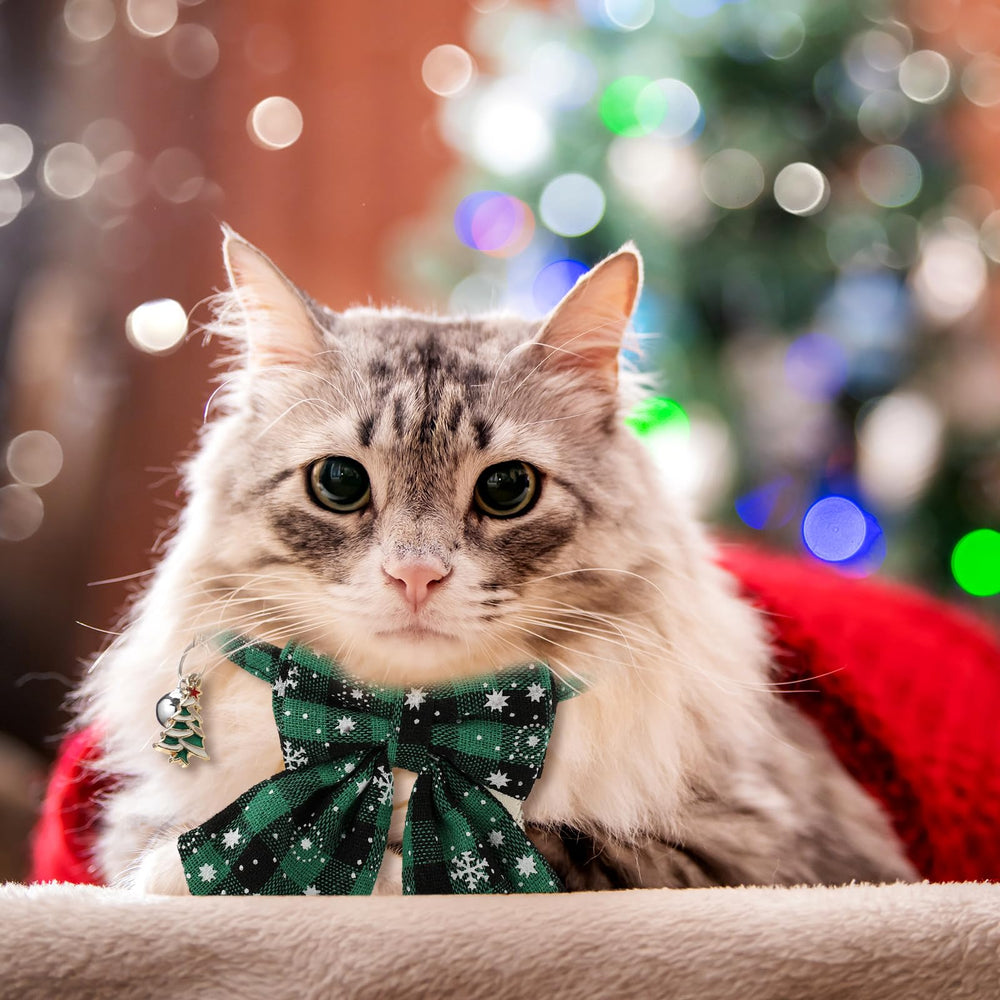 SilTriangle removable bowtie on festive cat collar for holiday styling.