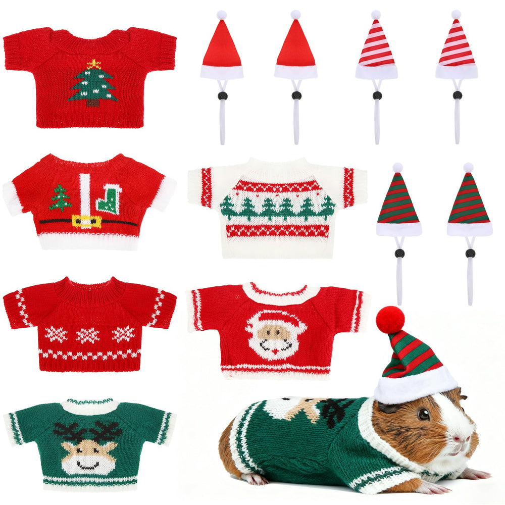 SilTriangle Christmas guinea pig sweater worn for warmth and festive look.