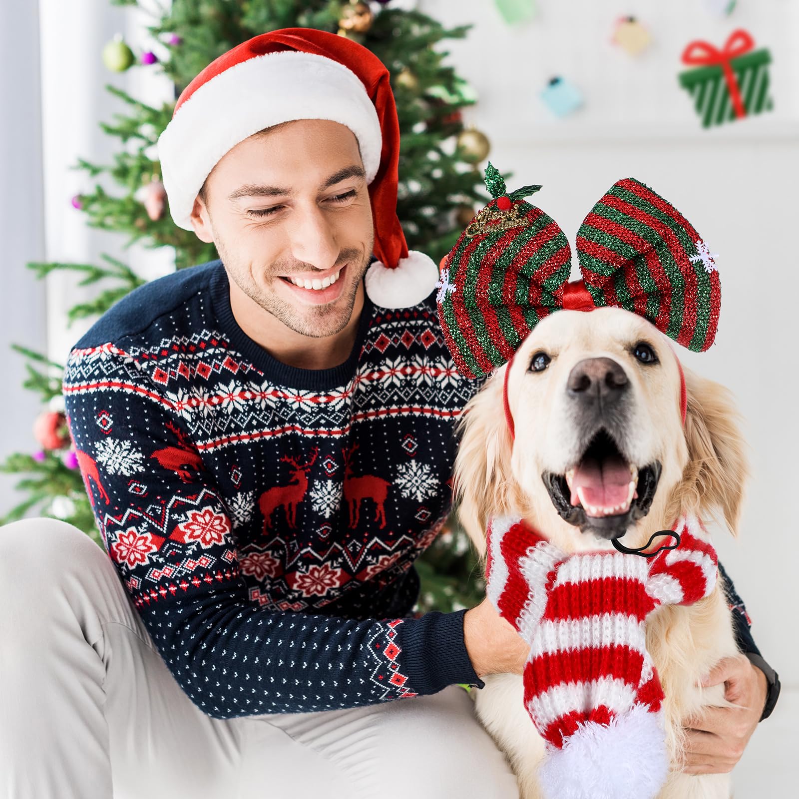 SilTriangle pet-costume set as a festive photo-prop and gift idea