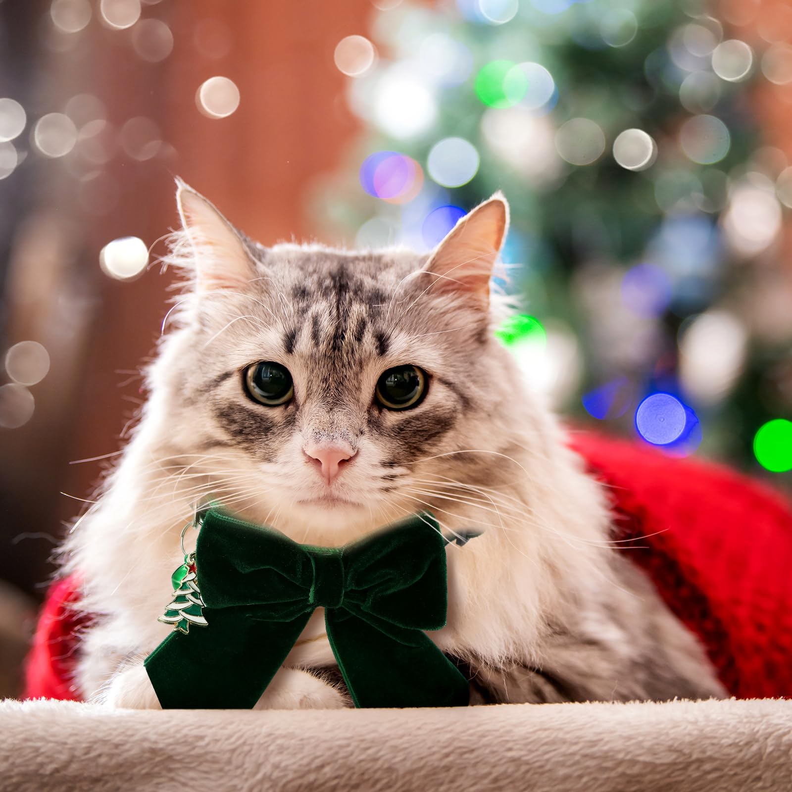 SilTriangle detachable bow-tie feature on cat collar for flexible styling