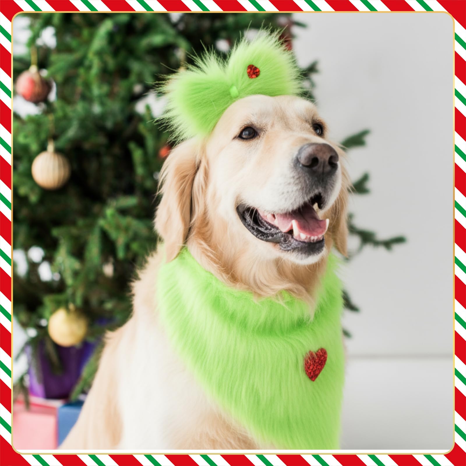 SilTriangle green plush ensemble suits birthdays and Christmas gatherings.