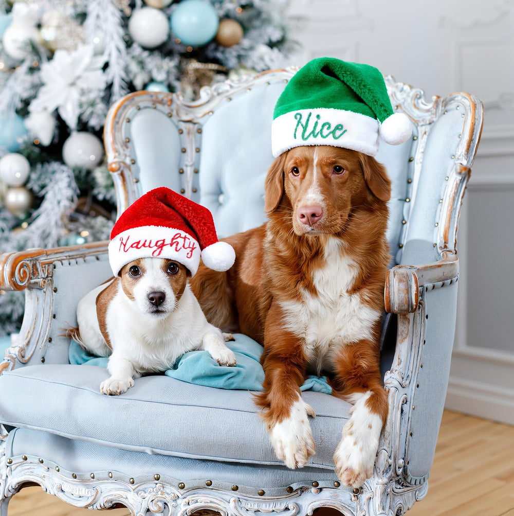 SilTriangle holiday photo prop for pets during parties and celebrations.