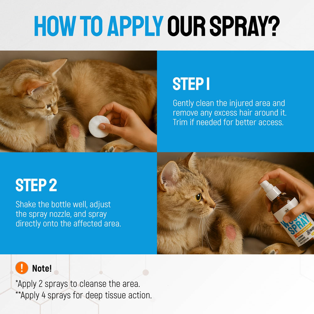 Silver Grade Cat Wound Spray label closeup indicating gentle skin support.