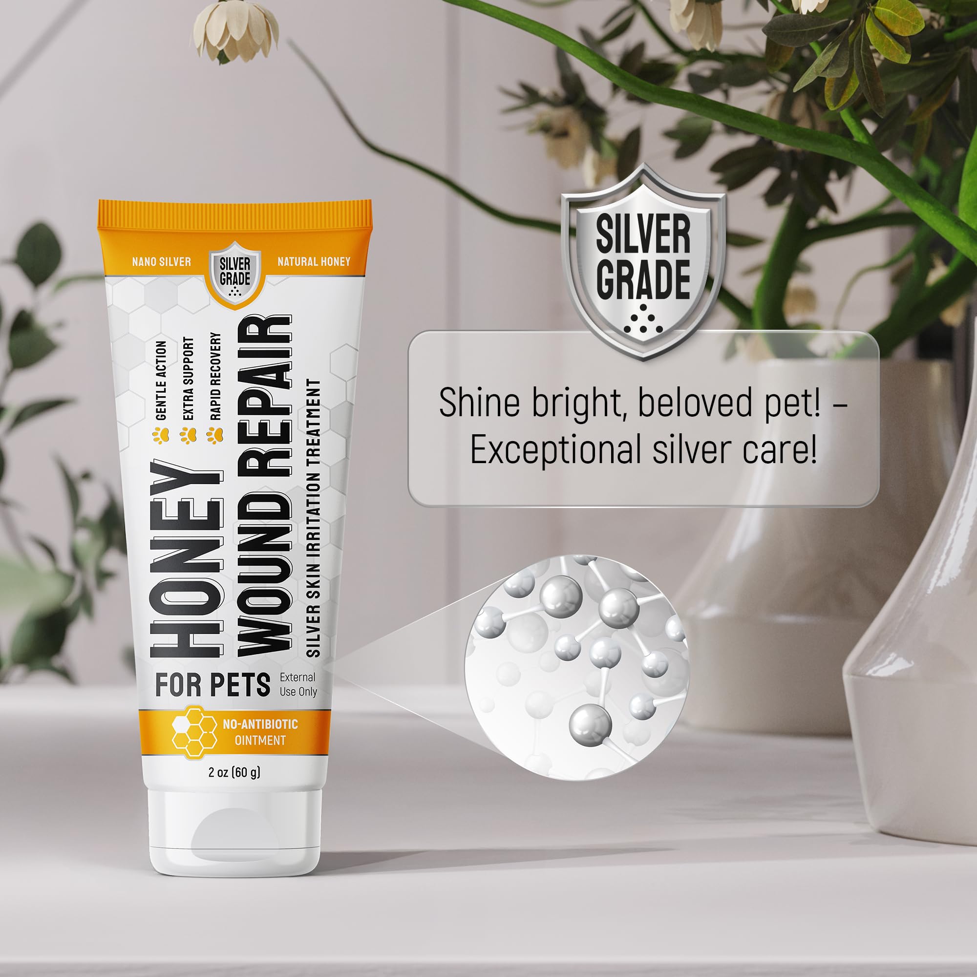 Silver Grade cone-use guidance to prevent licking during healing.