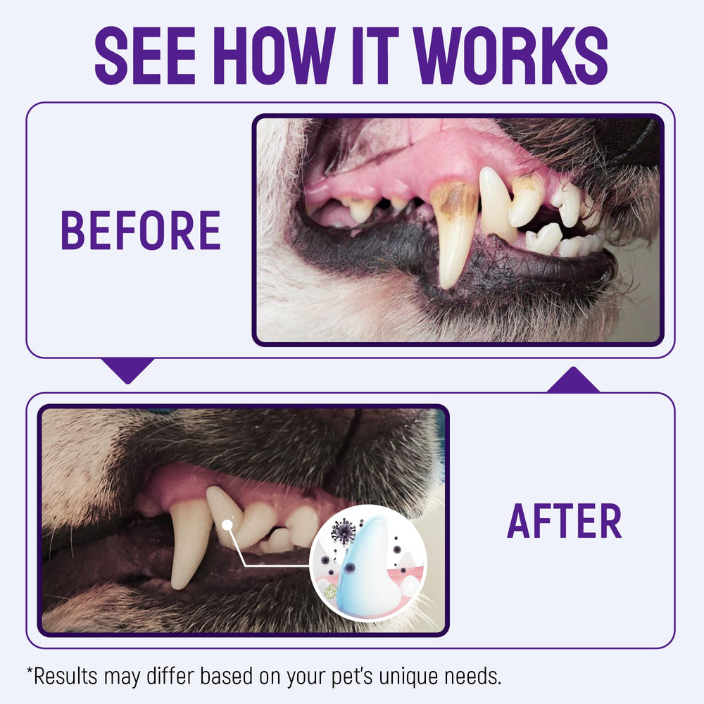 SILVER GRADE dog and cat mouthwash spray cleans teeth and gums.