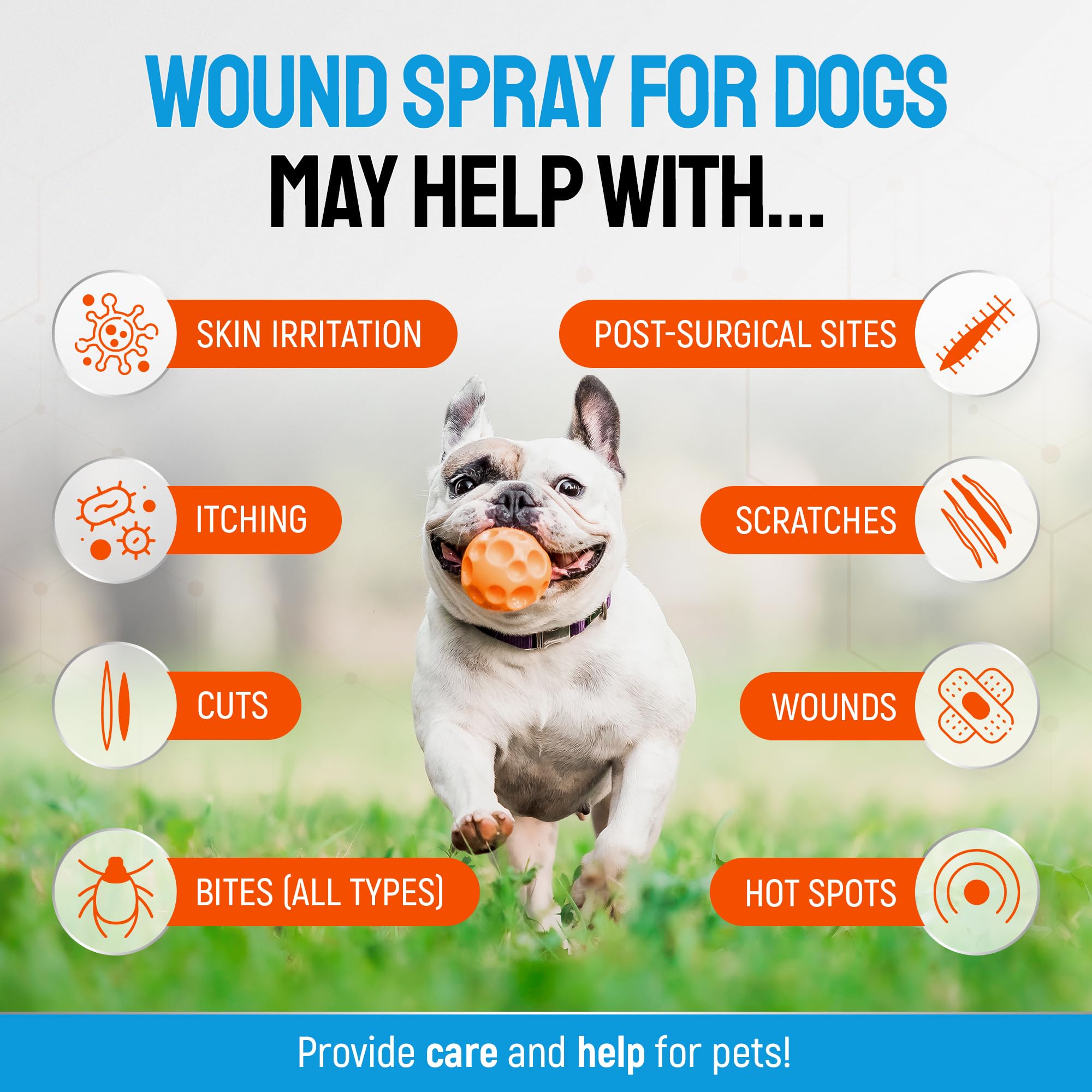 Silver Grade dog wound spray application on dog's skin for hotspot relief