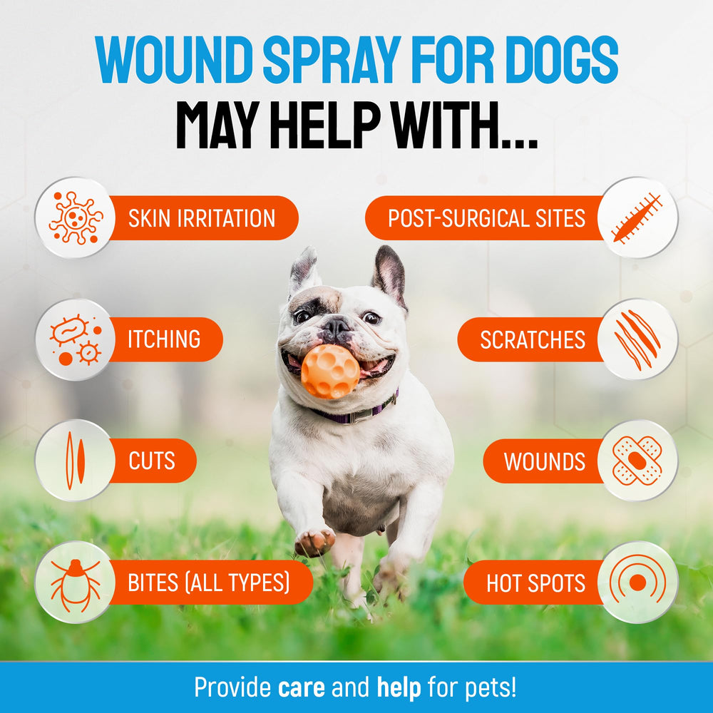 Silver Grade dog wound spray application on dog's skin for hotspot relief