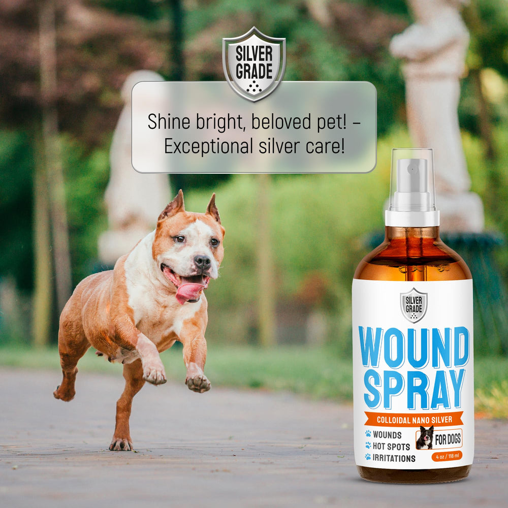 Silver Grade dog wound spray packaging showcases compact 4 oz size for travel