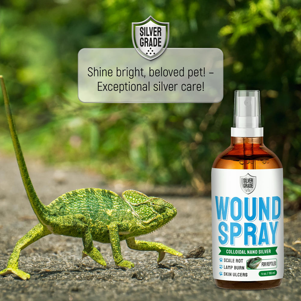 Silver Grade wound spray placed near terrarium, supporting regular reptile care routines.