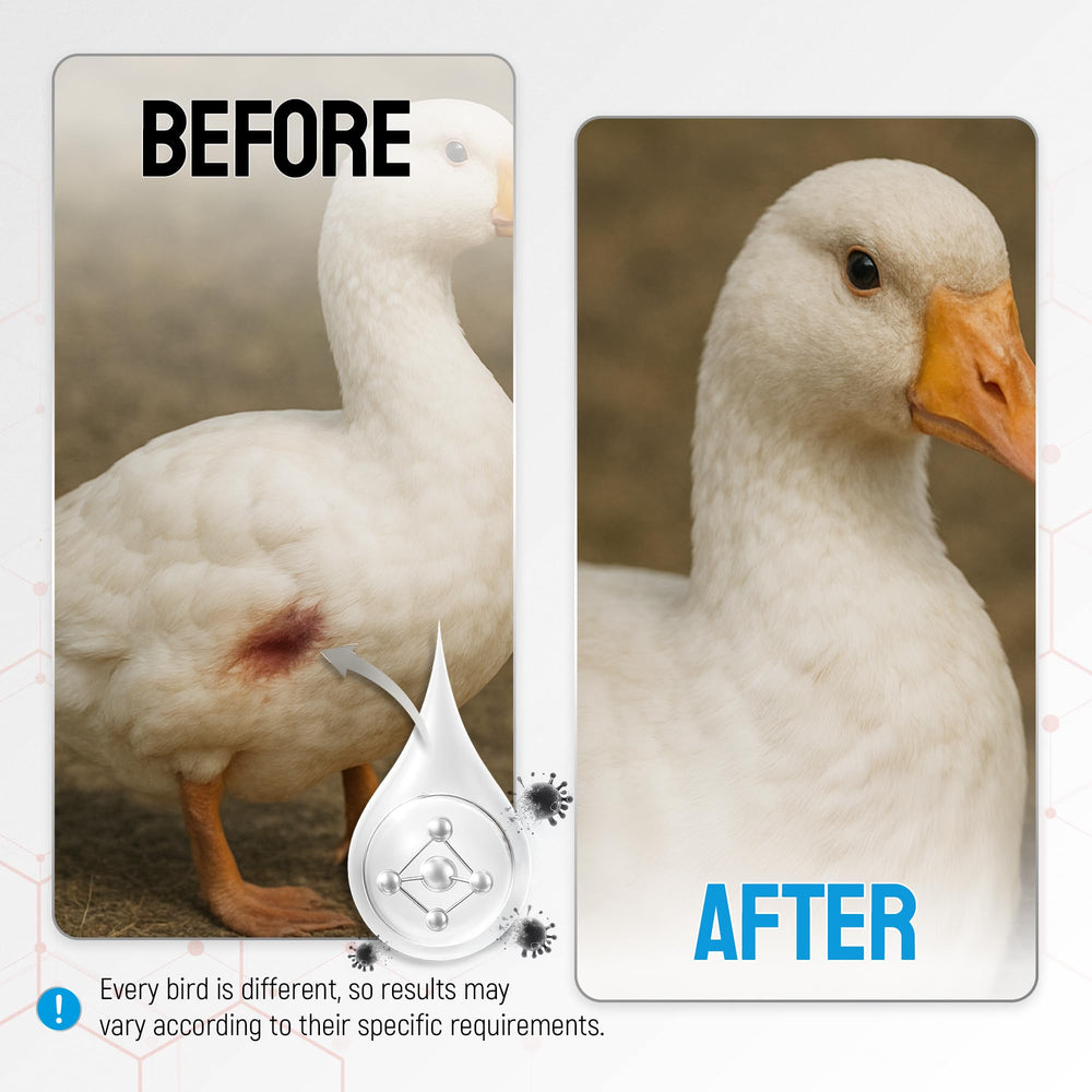 SILVER GRADE Wound Spray bottle-side shows travel-friendly packaging.