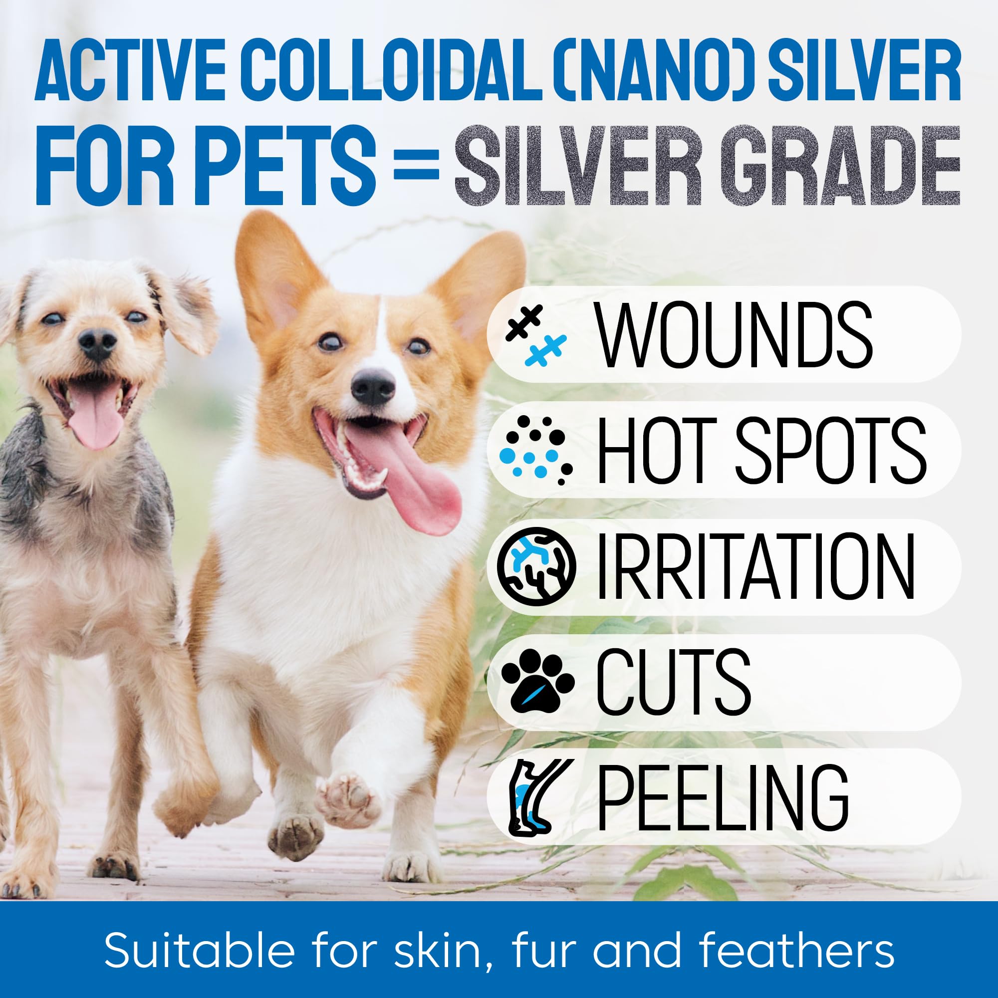 Silver Grade Wound Spray on a cat's irritated area after grooming for soothing relief.
