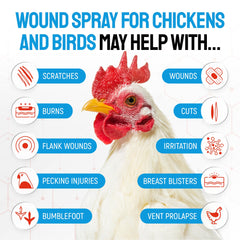 SILVER GRADE Wound Spray demonstrates chicken-application on a sore area.