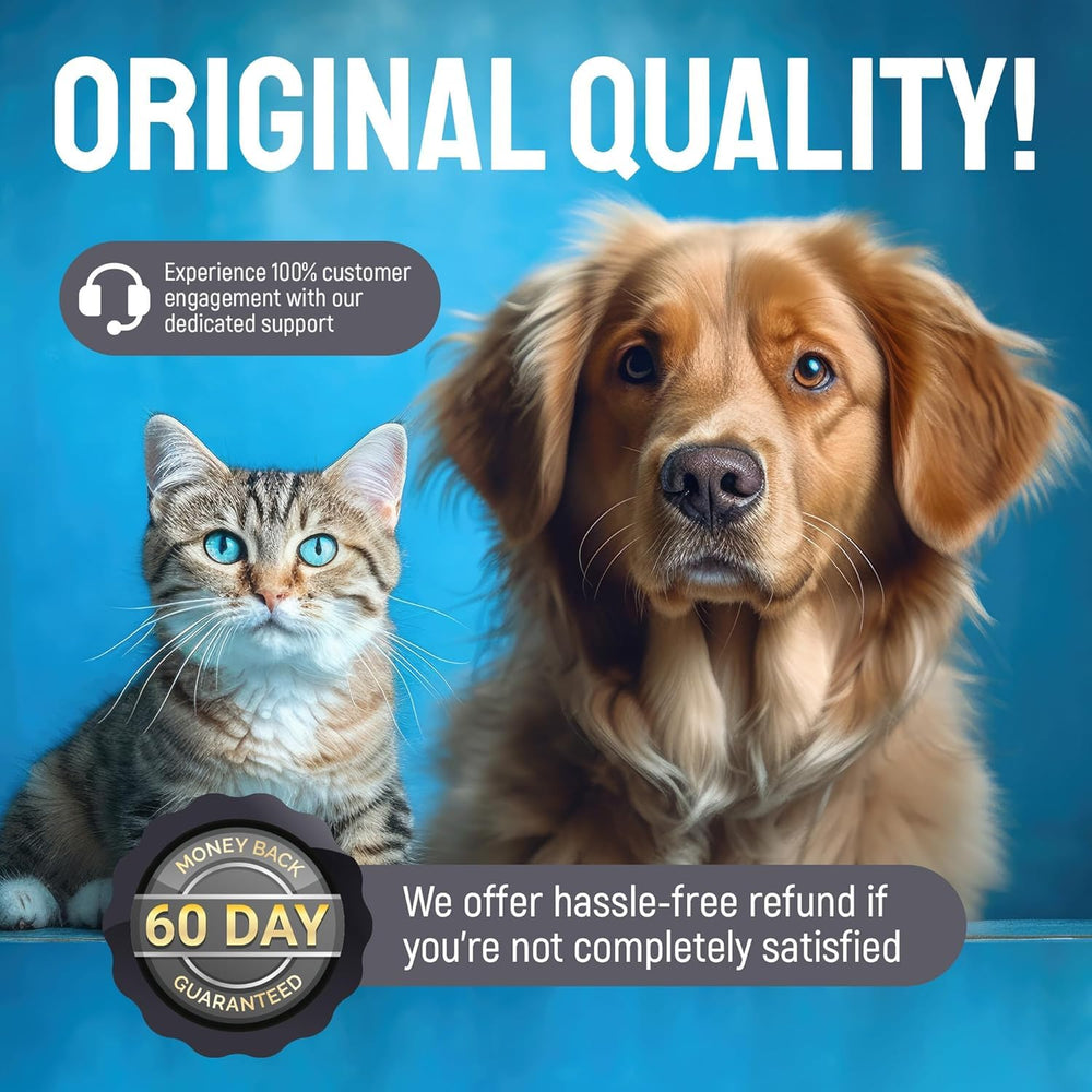 Silver Grade Wound Spray next to a dog first aid kit for easy access.