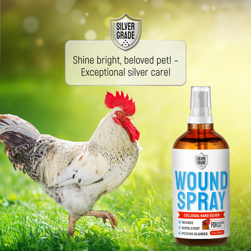 SILVER GRADE Wound Spray in-use on chicken coop demonstrates convenient application.
