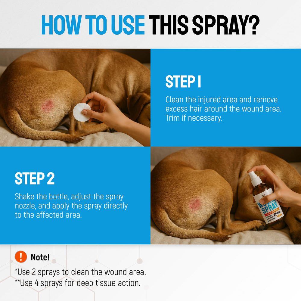 Silver Grade wound spray travel-size bottle for home and on-the-go care