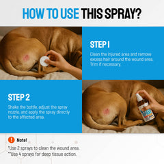 Silver Grade wound spray travel-size bottle for home and on-the-go care
