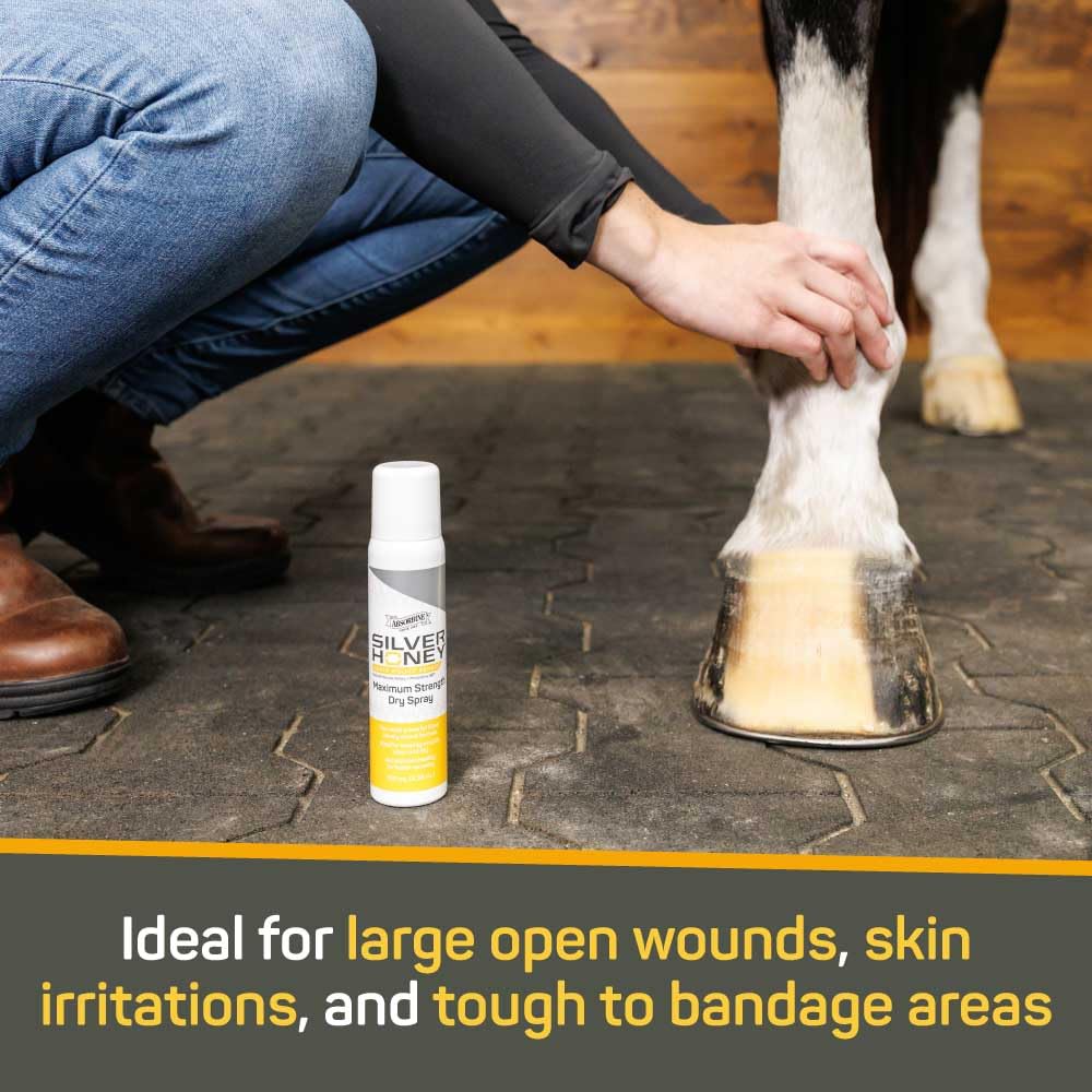Silver Honey Kaolin Clay helps maintain moisture balance for dry wounds.