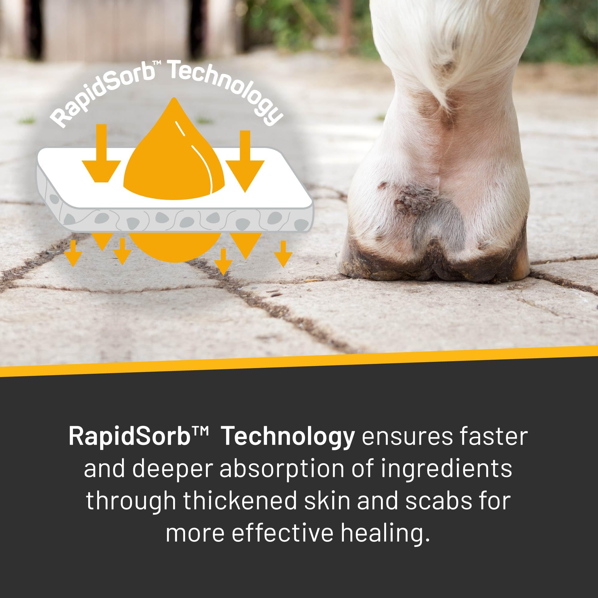 Ingredient highlights MicroSilver BG and Manuka Honey in Silver Honey