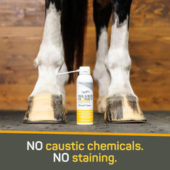 Silver Honey foam applied under pads provides mess-free protection around the hoof.