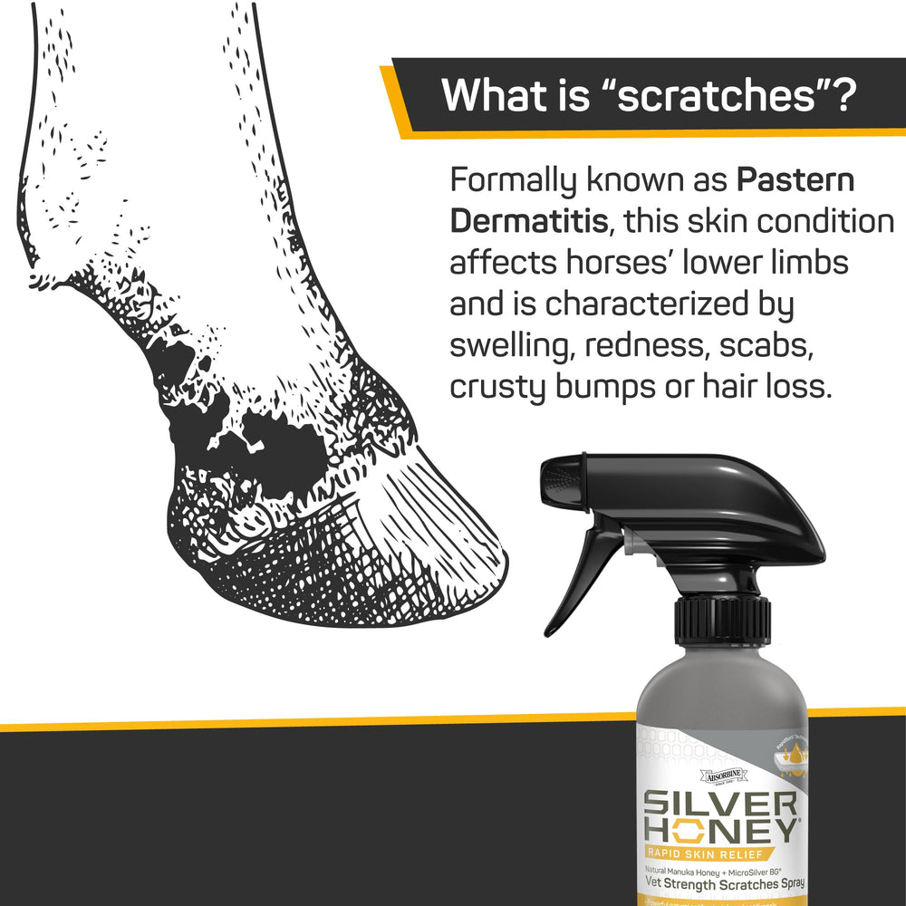 Horse care setup showing shampoo first before applying Silver Honey Rapid Relief