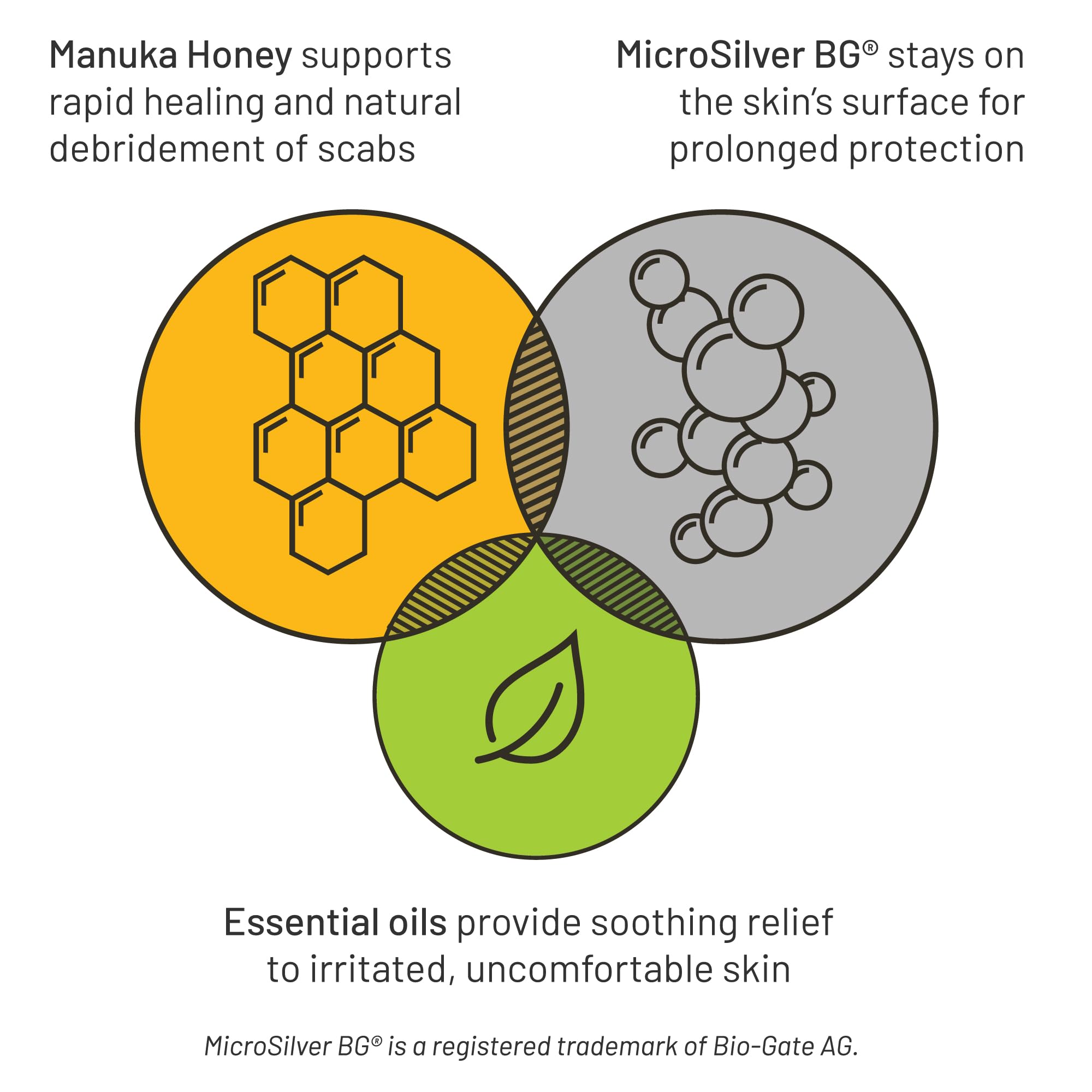 Closeup of Silver Honey Rapid Relief label with vet-developed formula