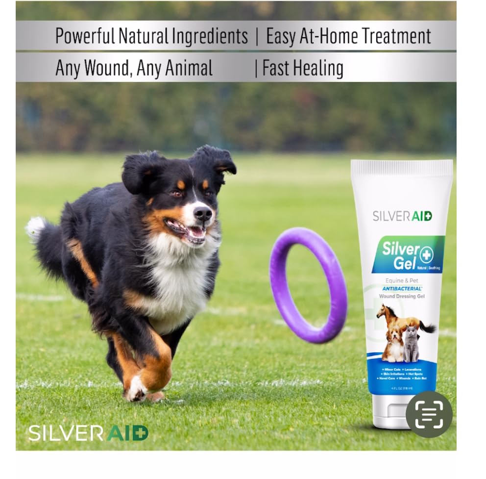 SilverAid cat wound-care gel used on a minor injury for healing.