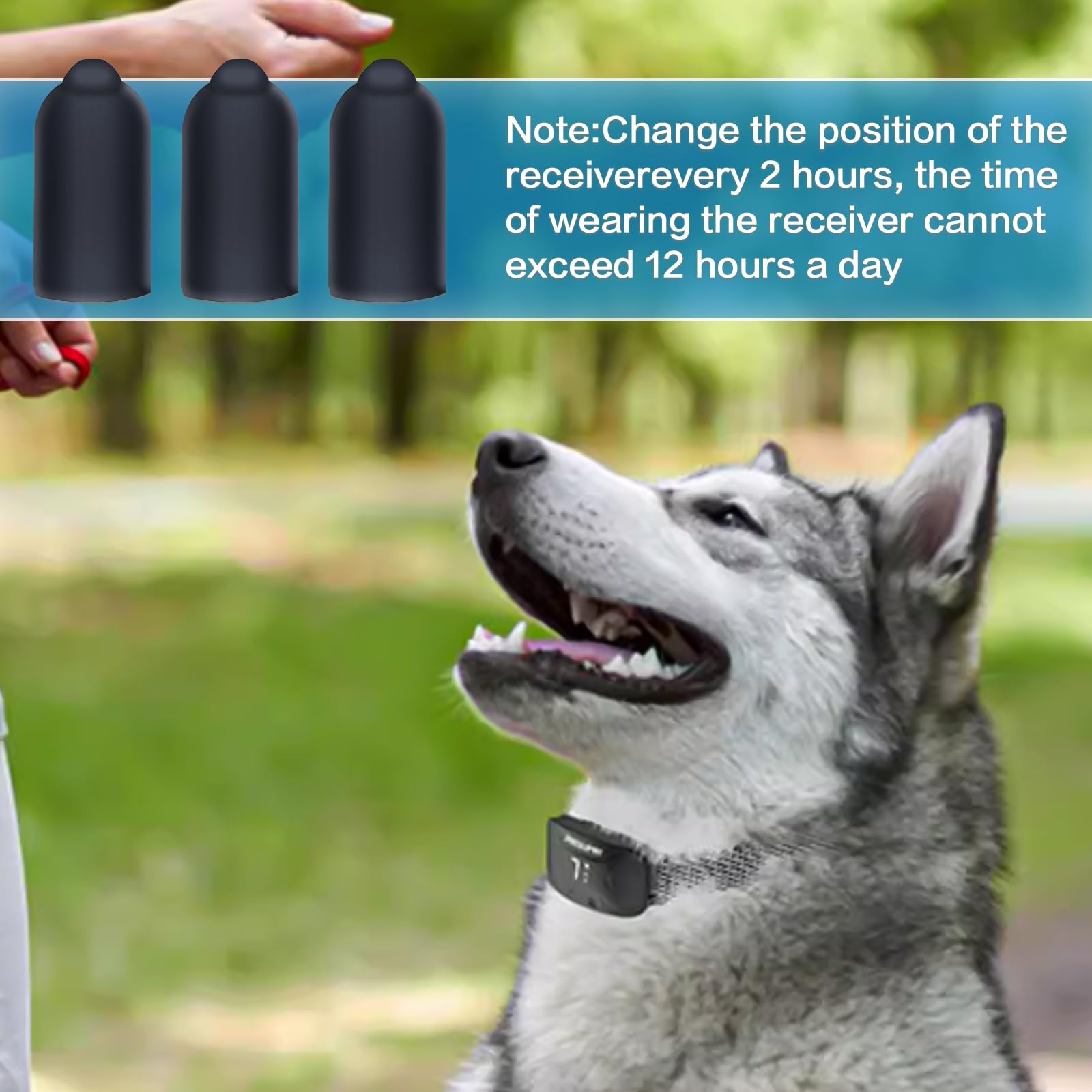 Closeup of Sliverdew prong collar cover over the metal prong for safety