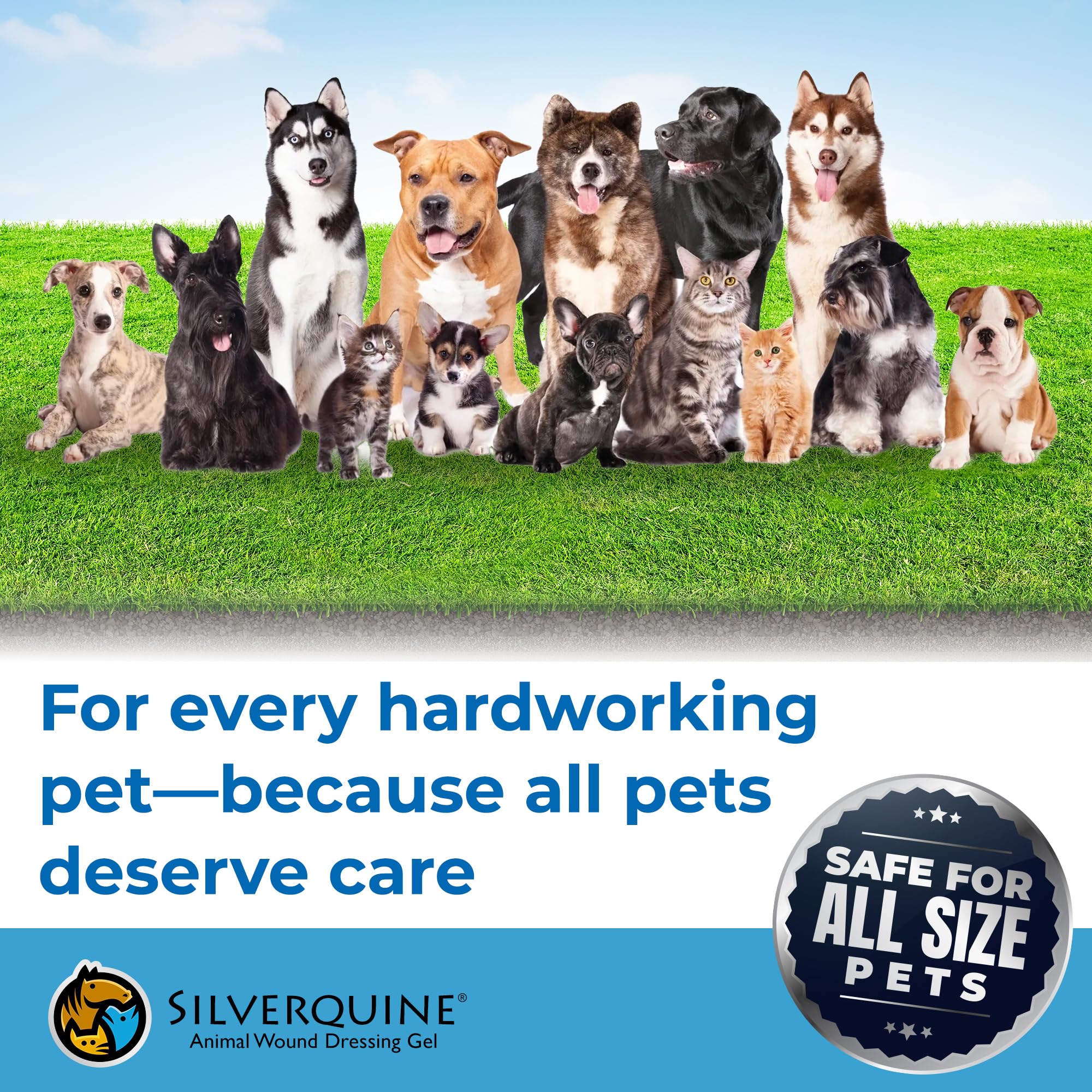 Silverquine 24-72 hour moisture protection packaging emphasizes long-lasting coverage