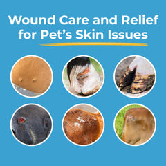Silverquine application on dog wound demonstrates easy spread without fur sticking.